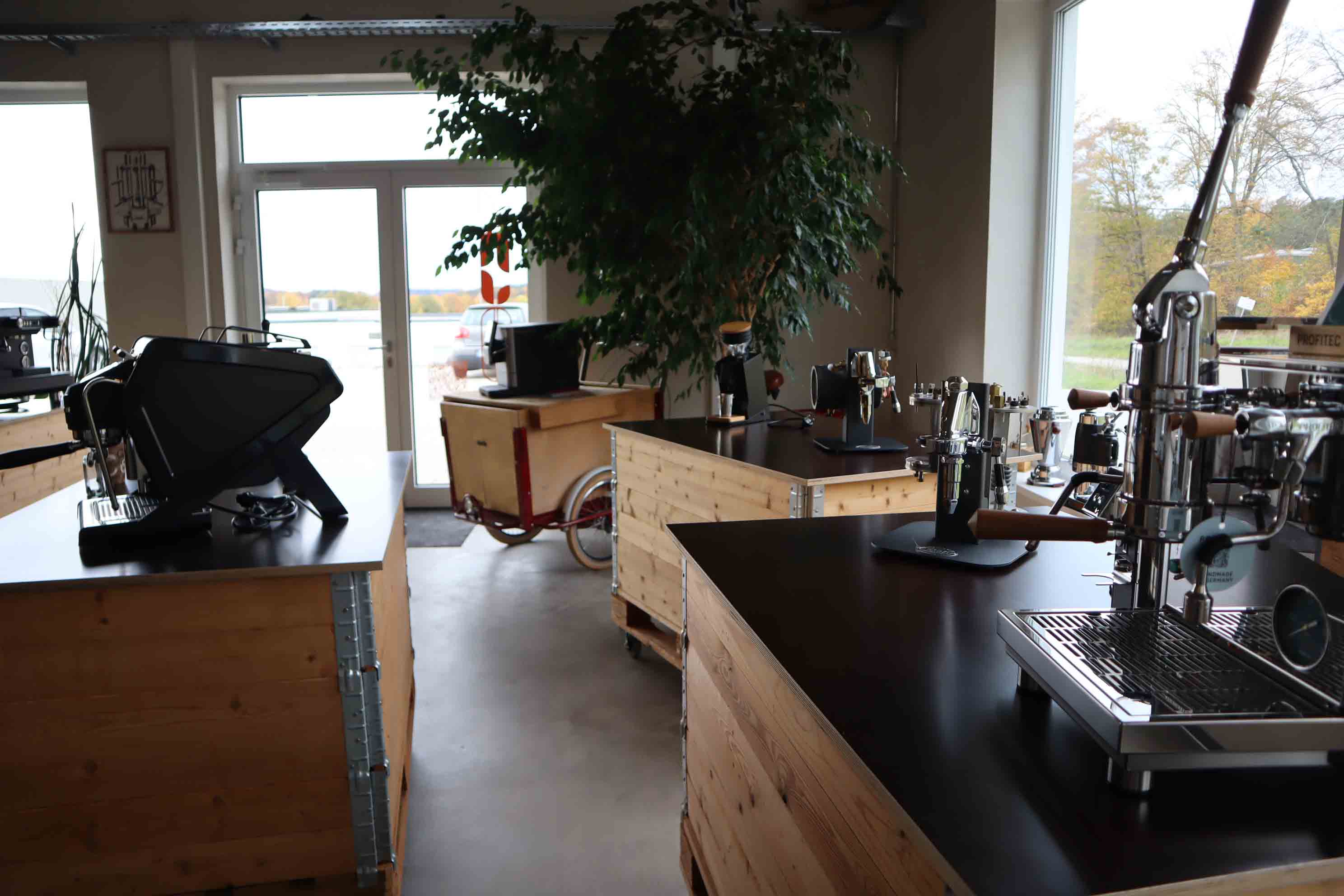 Interior of a showroom displaying various espresso machines on wooden counters with a large plant near glass doors in the background.
